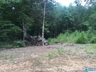 0 County Road 113 Unit 2 Acres 759816, Lineville, AL 36266