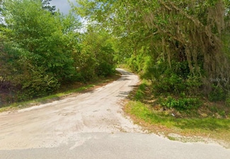 0 Cobb Ln, Sanderson, FL 32087
