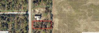 TBD NW Buena Vista Rd, Dunnellon, FL 34431