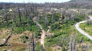 0 Bay Ranch Rd, Berry Creek, CA 95916