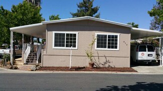 313 Los Encinos St, San Jose, CA 95134