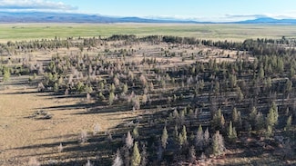 0 Sycan Marsh Unit 23894752, Paisley, OR 97636