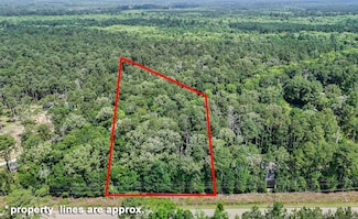 0 La Hwy 42 Hwy Unit 2025011148, Livingston, LA 70754