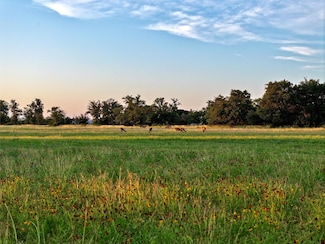 Lot 1 Fm 2657, Briggs, TX 78608
