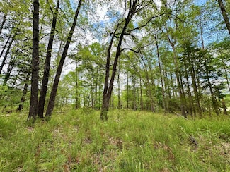 0 Us Hwy 82, Mathews, AL 36052
