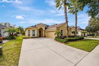 20720 Amanda Oak Ct, Land O Lakes, FL 34638