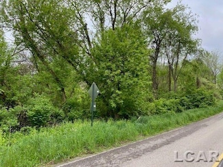 8000 BLK LOT 9 Stephenson Rd, Onsted, MI 49265