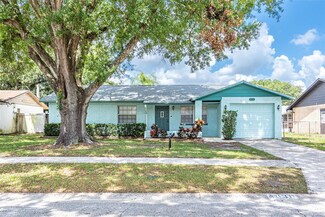 4030 Truman Dr, Seffner, FL 33584