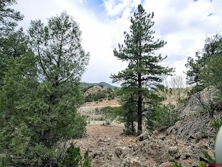 61 Red Tail Ct, South Fork, CO 81154