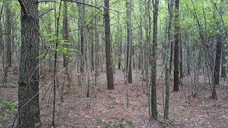 Lot 22 Timber Valley Trail (Pca), Rockwood, TN 37854