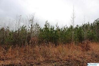 Lot 7 Quail Dr, Centre, AL 35960