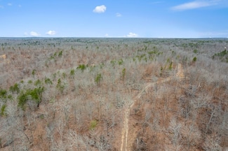 000 County Road 774, Logan Township, MO 63638