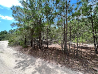 2312 Swan Island Rd, Carova Beach, NC 27927