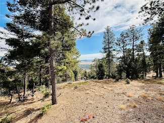 13948 Boulder Ln Unit 66, Larkspur, CO 80118