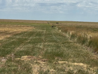 1301 County Road 1, Panhandle, TX 79068