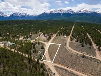47 Peak View Dr, Twin Lakes, CO 81251