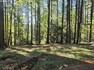 18675 SW Forest Park Rd, Hillsboro, OR 97123