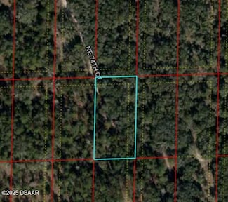 0 Bronson Fl Unit 1208406, Bronson, FL 32621