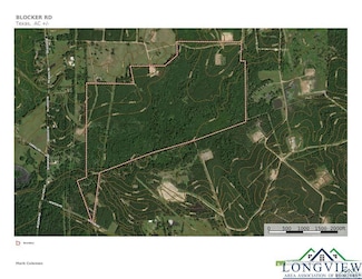 0 Newton Rd, Marshall, TX 75670