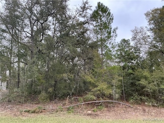 11317 N Bunny Terrace, Citrus Springs, FL 34434