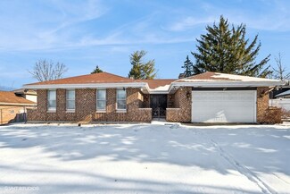 823 Bradoc St, Chicago Heights, IL 60411