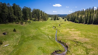 11709 Old Ironhorse Rd, Deadwood, SD 57732