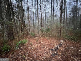 78 Bonds Ct, Hiram, GA 30141
