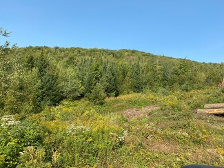 Lot 29B Off Route 2, Dixfield, ME 04224