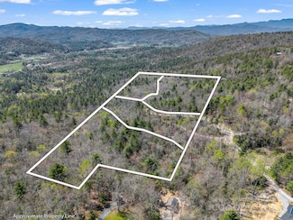999 Bulling Creek Rd, Laurel Park, NC 28739