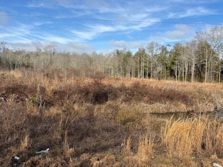 0 County Road 2212, Goshen, AL 35035