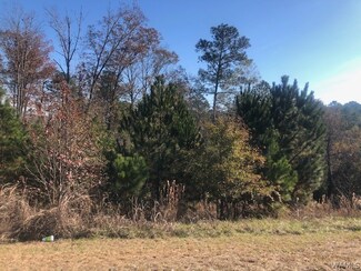 00 Buttermilk Rd, Cottondale, AL 35453