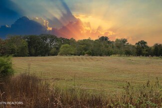 2497 Mt Carmel Rd, Decatur, TN 37322