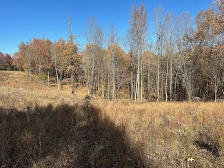 Parcel 086-00-00-027 001 Morgan Rickard Ln, Central City, KY 42330