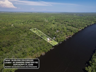 60 Sanders Cemetery Rd, Sopchoppy, FL 32358