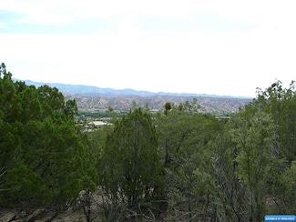 330 Las Palomas Rd Unit Lot 25, Mimbres, NM 88049