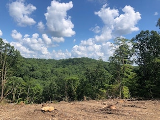 1098 Paiute Trail, Pegram, TN 37143