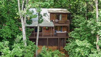 41 Beaver Ct, Cherry Log, GA 30522
