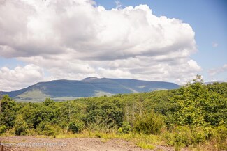 TBD Route 212, Saugerties, NY 12477