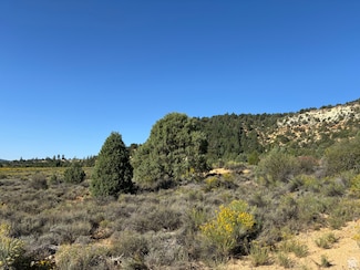 2210 W 4500 S, Hatch, UT 84735
