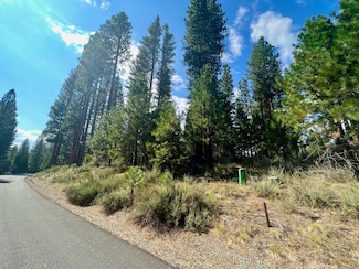 655 Bobcat Trail, Whitehawk, CA 96106