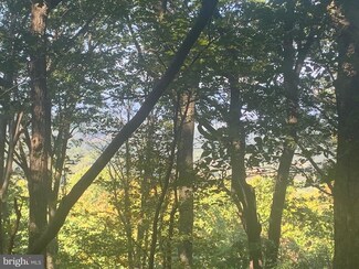 0 Wapping Farm Rd Unit VAWR2001442, Linden, VA 22642