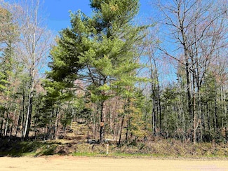 0 Nejedlo Rd, Wausaukee, WI 54177