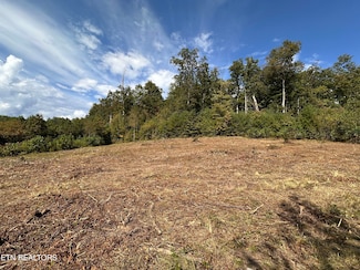 0 13 44 Ac Chestnut Ridge Rd, Allardt, TN 38504