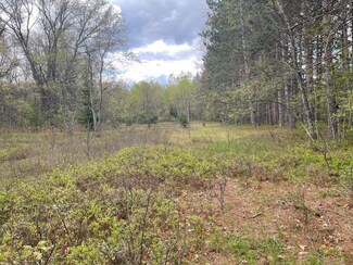 0 Lansing Rd, Houghton Lake, MI 48629
