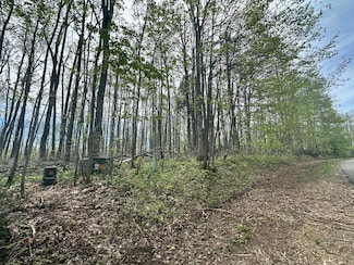 V/L Lot 16 Deer Woods Dr, Elmira Township, MI 49735