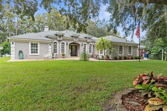 10507 Hinds Place, Odessa, FL 33556