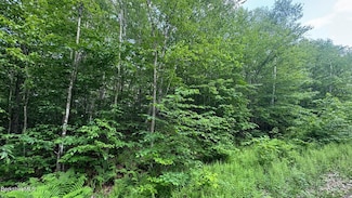 0 Lebenschauung Cir Unit 5049439, Stamford, VT 05352