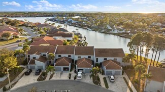 6320 Grand Bahama Cir, Tampa, FL 33615