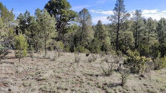 2316 Thunderbird Cir, Overgaard, AZ 85933