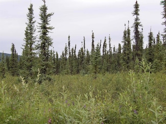 NHN Jade St, Fairbanks, AK 99712